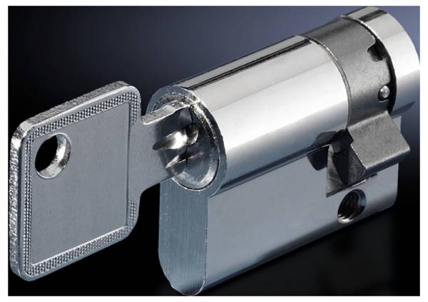 Rittal CS 9785.042 Låseindsats 2 stk