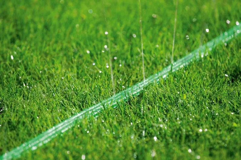 Nærbillede af grøn vandslange, der vander græs med små vanddråber, hvilket illustrerer effektiv plænevanding.