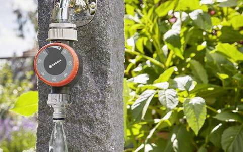 Vandhane i haven med en timer til vanding, omgivet af grønne planter.