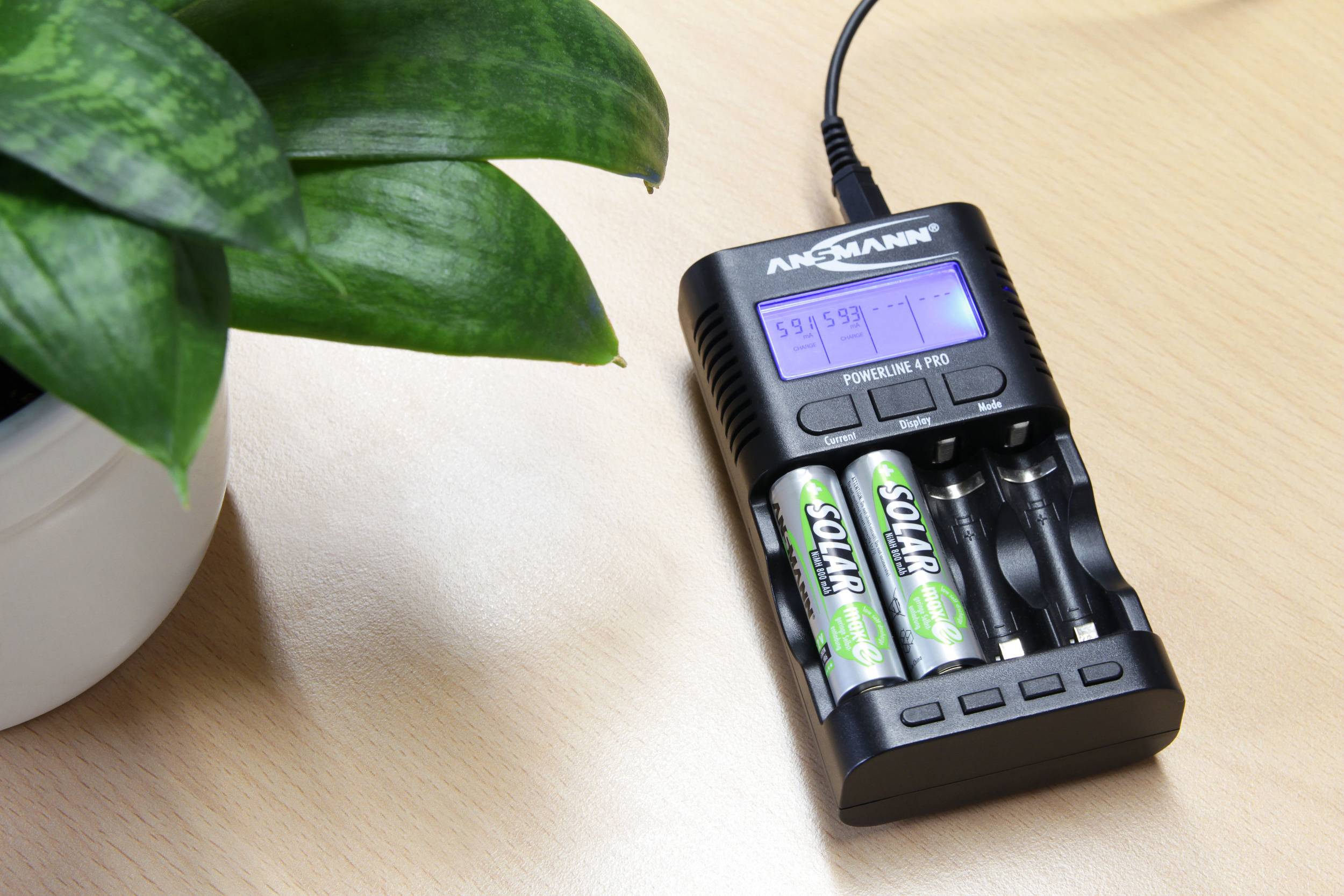 Batterilader med to opladede AA-batterier på et træbord ved siden af en plante. Et LCD-display viser opladningsstatusen.