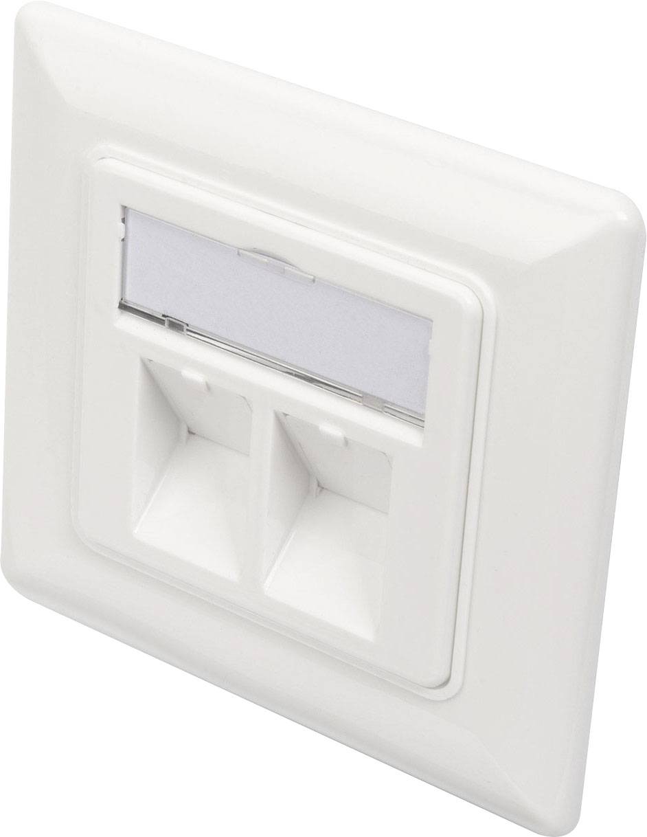 Dobbelt netværksstik i hvid vægdåse, egnet til Ethernet-kabler. Ideel til kontormiljøer til nem netværksforbindelse.