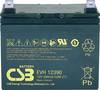 CSB Battery EVH 12390 Blybatteri 12 V 39 Ah Blyfleece (B x H x T) 196 x 178 x 155 mm M6 skruetilslutning Cyklusstabilt, Vedligeholdelsesfri, Lav selvafladning