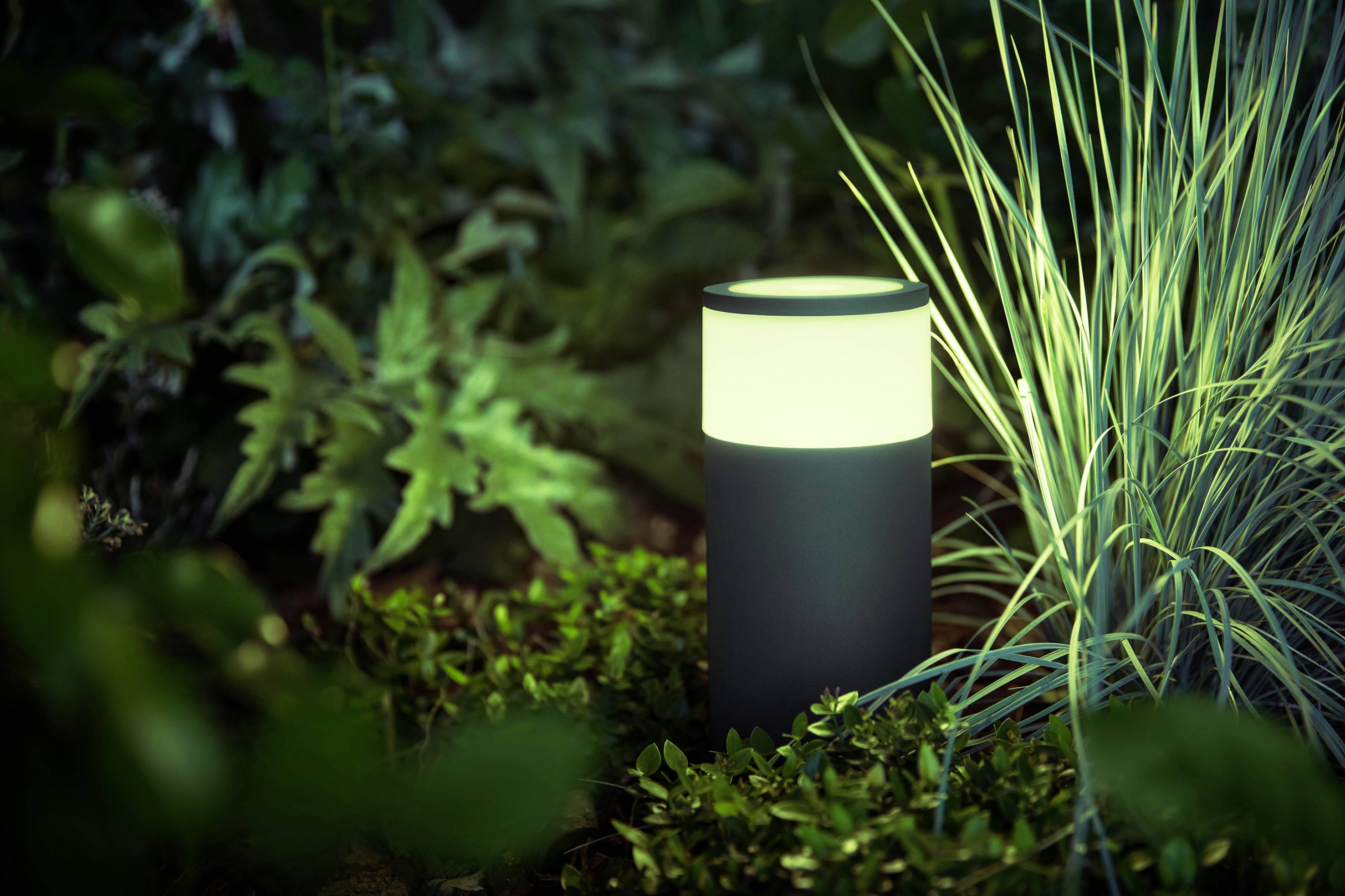 En lysende havlampe står midt i grøn vegetation og græs, og oplyser blidt omgivelserne i en aftenhave.