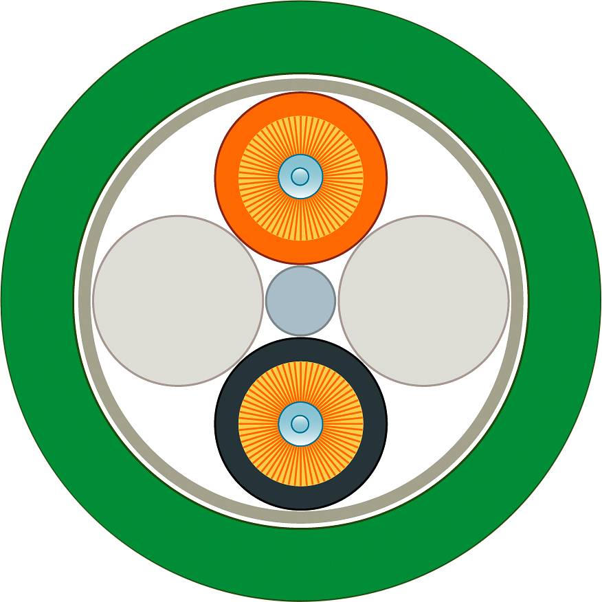 Cirkulær diagram med en grøn kant. I midten befinder der sig fire cirkler i forskellige farver og et blåt centrum.