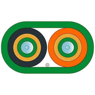 Abstrakt illustration med to parallelle cirkler i en oval ramme. Venstre: mørk cirkel, højre: orange cirkel.