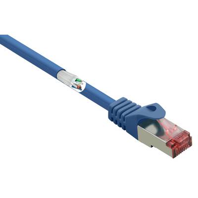 Et blåt Ethernet-kabel med rødt stik. Et udsnit viser den indvendige struktur med kobberledninger.