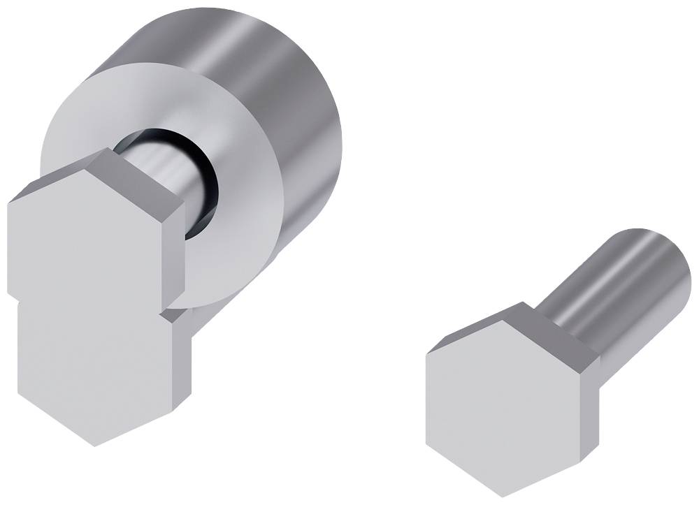 To metalliske bolte, den ene med rund og den anden med sekskantede basis, ligger ved siden af hinanden; begge har en sølvfarvet overflade.