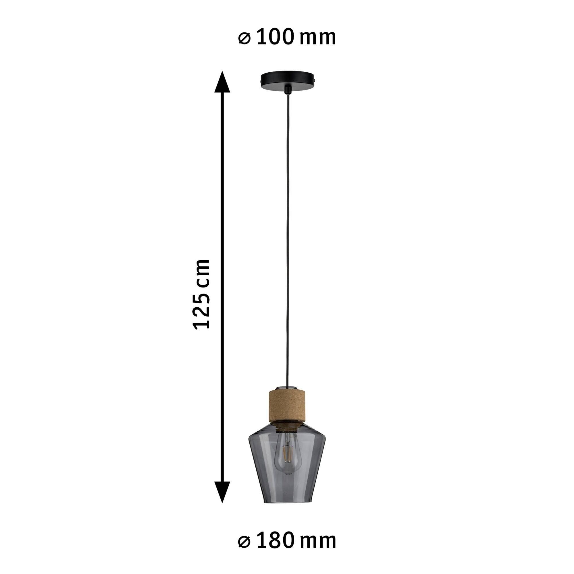 Pendel med sort ledning, sort baldakin og grå glasskærm. Mål: Højde 125 cm, baldakin Ø 100 mm, skærm Ø 180 mm.