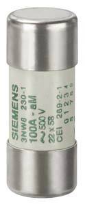 Sikring med påskriften 'SIEMENS 100A 500V', cylinderformet, sølvfarvede hætter, central hvid markering med tekniske detaljer.
