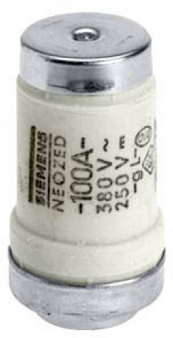 Siemens 5SE2300 Sikringsindsats Sikringsstørrelse = D03 100 A 400 V