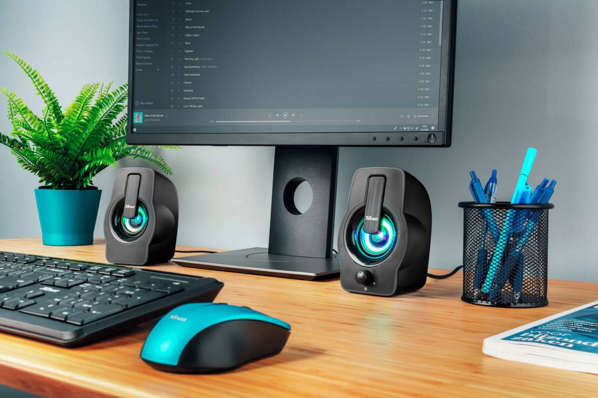 Et moderne skrivebord med en computerskærm, tastatur, mus, to højttalere, en penneholder og en plante.