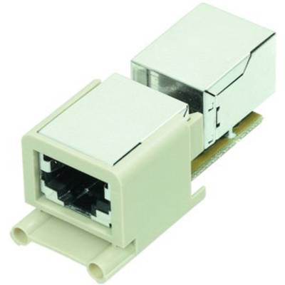En RJ45-netværksstik i en hvid plastikcover, bruges til at forbinde Ethernet-kabler i computernet.