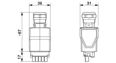 Teknisk tegning af en rektangulær stik med dimensioner: Højde 67 mm, bredde 36 mm, dybde 31 mm. Side- og frontvisning.