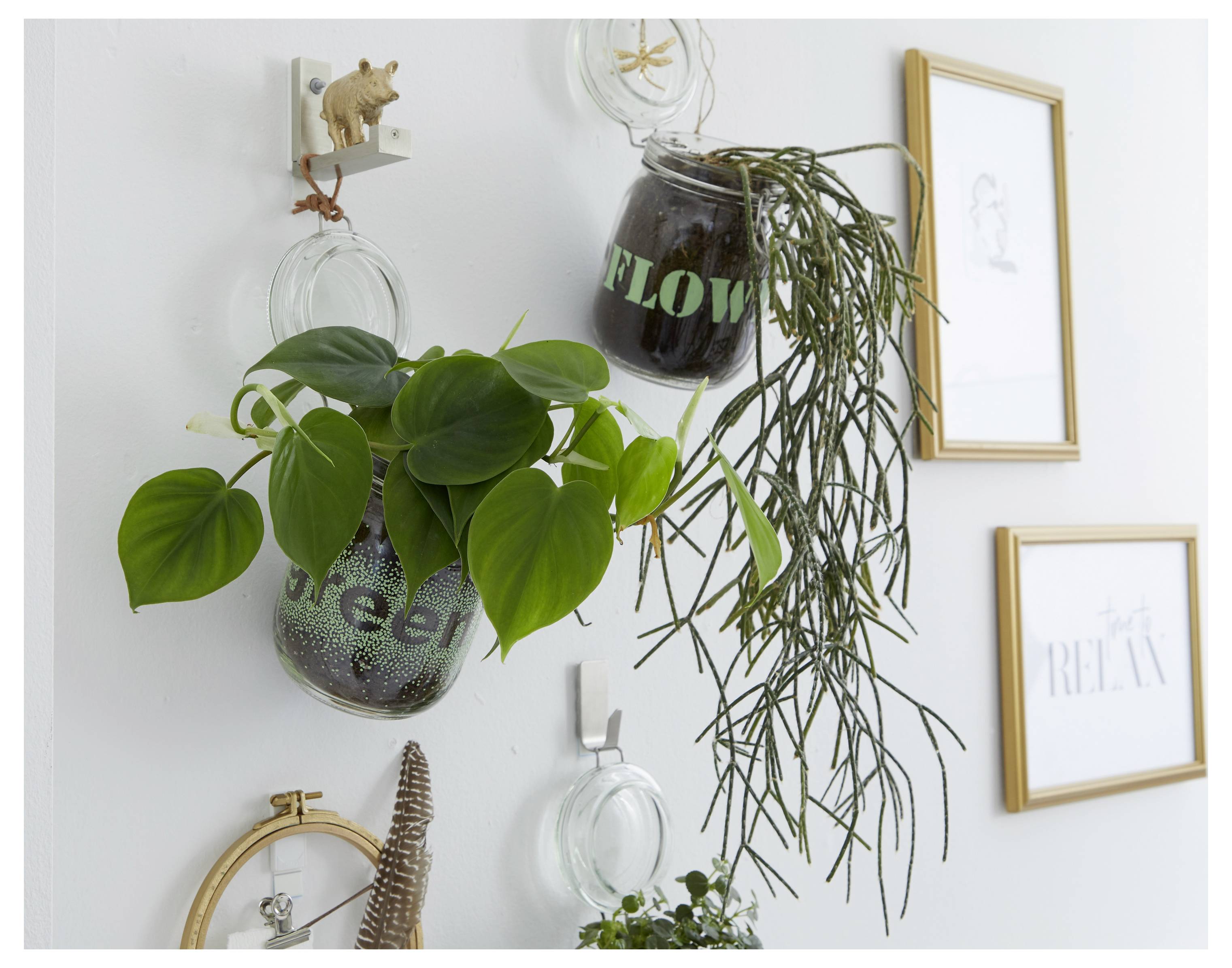 Vægmonterede glaspotteskjulere med hængende grønne planter og indrammet dekoration på en hvid væg.