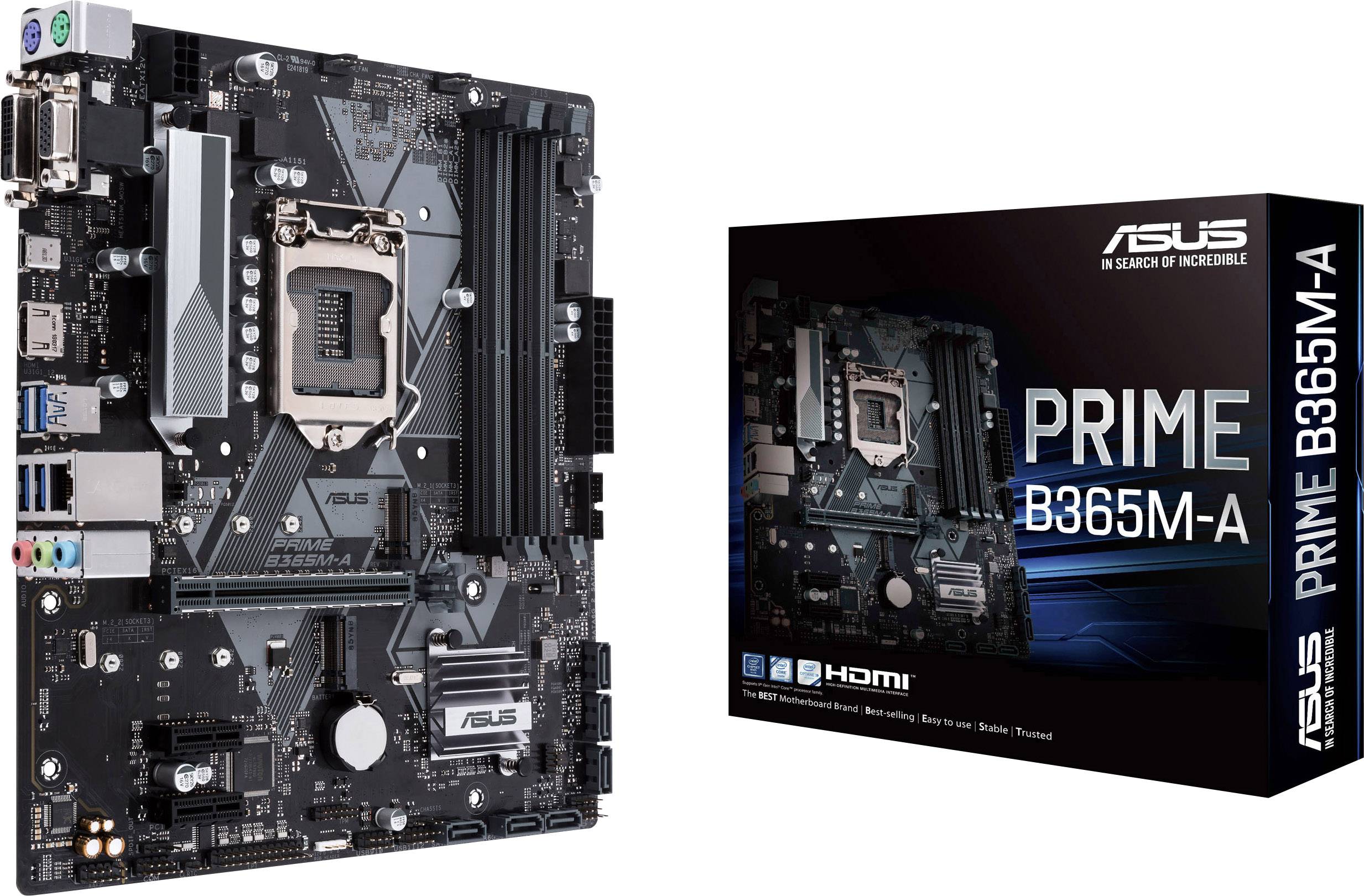 Asus PRIME B365M-A Intel® 1151 Formfaktor Micro-ATX Mainboard-chipsæt Intel® B365 | Conradelektronik.dk