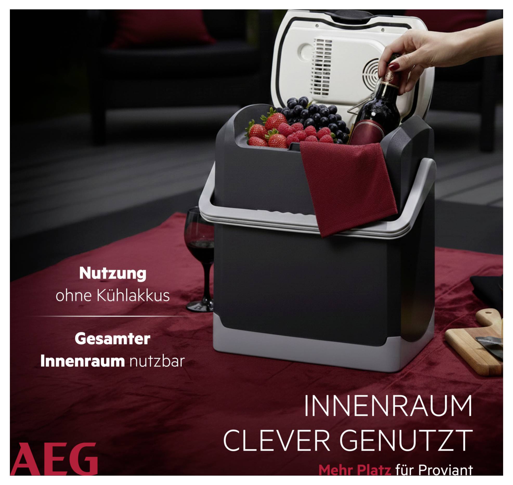 En kompakt bærbar køler indeholdende bær og en flaske vin. Teksten lyder 'Innenraum clever genutzt' af AEG, hvilket understreger pladseffektivitet.