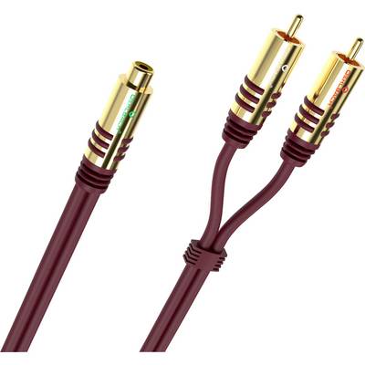 To RCA-lydstik med forgyldt belægning, forsynet med røde og hvide ringe, forbundet ved hjælp af røde kabler og ledsaget af et hunstik-adapter.