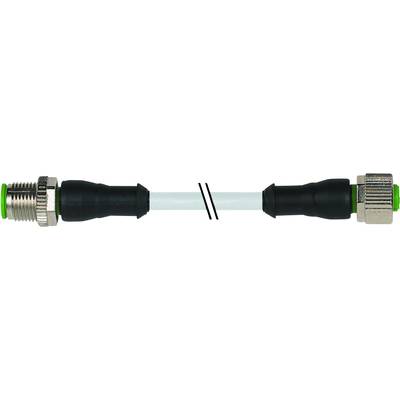 Murrelektronik 7000-40041-2250200 Sensor-, aktuator-stik, M12 x 1 Stik, lige, Tilslutning, lige 2.00 m 1 stk