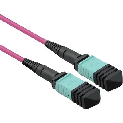 Et lyserødt glasfiberkabel med to blå MTP-stik i enderne, hver forsynet med sorte beskyttelsesdæksler.