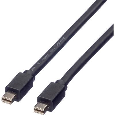Sort Mini DisplayPort-kabel med to stik til at forbinde computere med skærme eller projektorer til lyd og video.