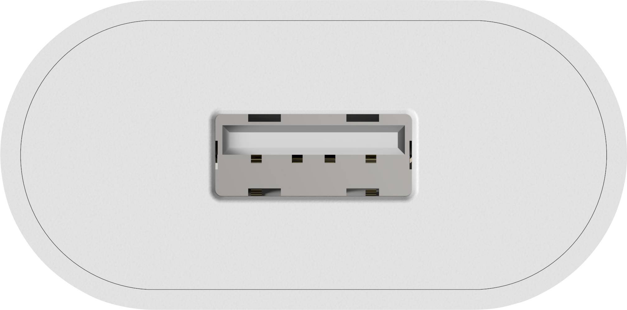 Et USB 2.0-stik, placeret vandret i midten af et hvidt ovalt kabinet.
