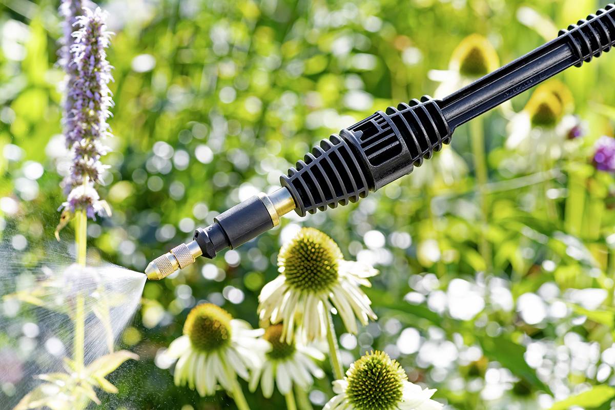 En hånd holder en haveslange og sprøjter vand på blomster i en have. Blomsterne er omgivet af grønne blade.