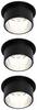 Paulmann 93383 LED-indbygningslys 19.5 W Sort, Jern