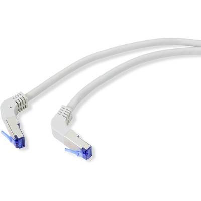 To vide Ethernet-kabler med blå stik ligger ved siden af hinanden. De er bøjede og har afskærmede stik.