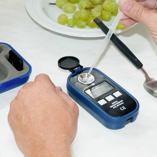 En hånd holder en pipette og drypper væske på et refraktometer, der ligger ved siden af en tallerken med grønne druer.
