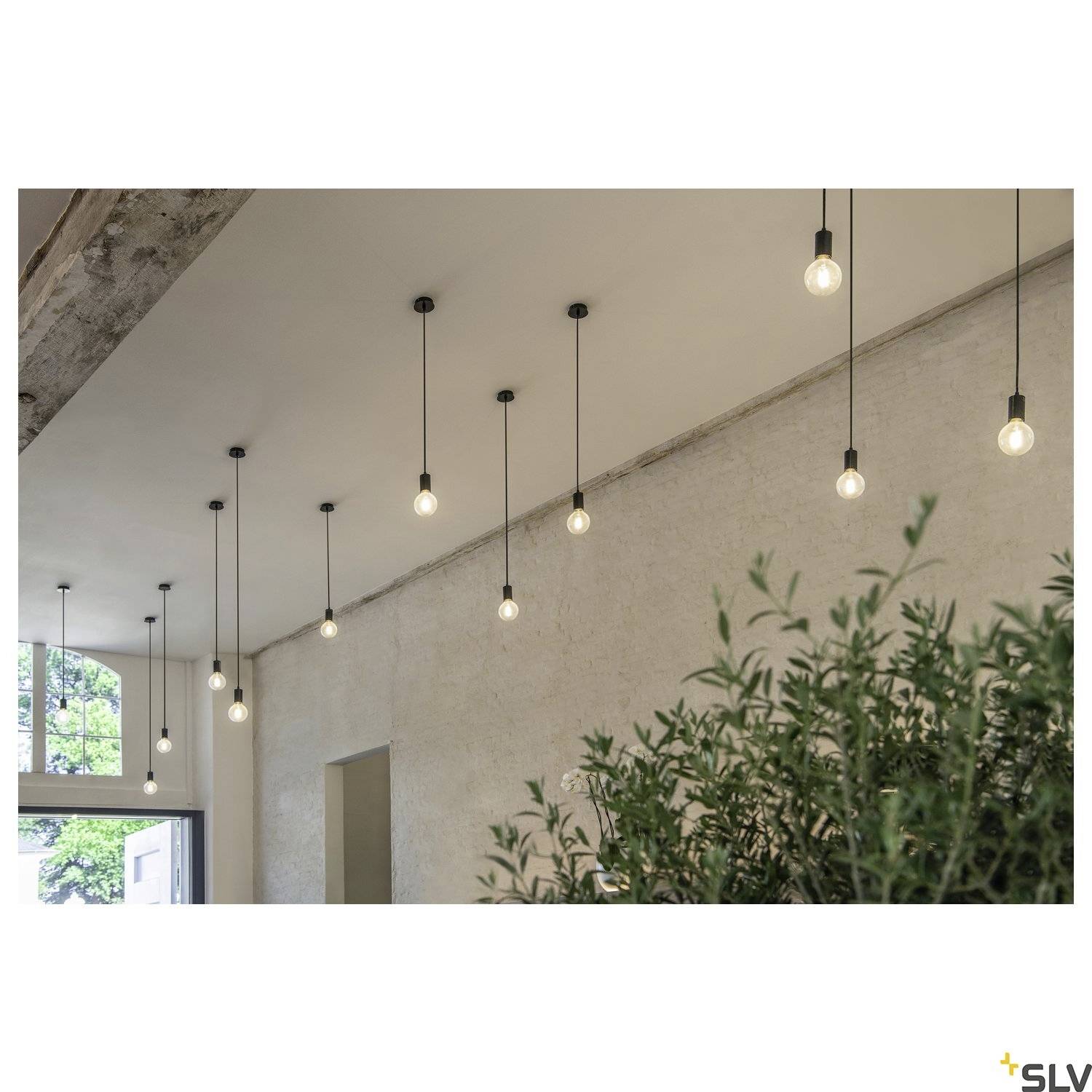 Flere hængende loftslamper oplyser et rum med betonvægge og store vinduer. I forgrunden ses en plante.