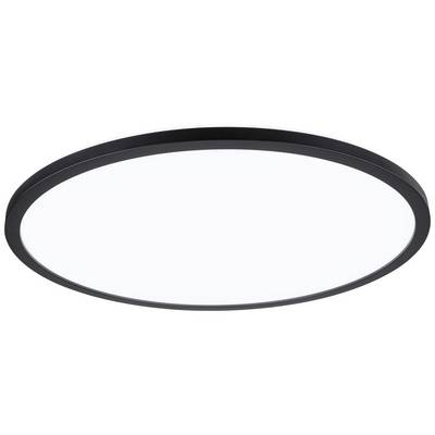 Tynd, rund loftlampe med sort kant og hvid overflade, velegnet til moderne indendørsrum.