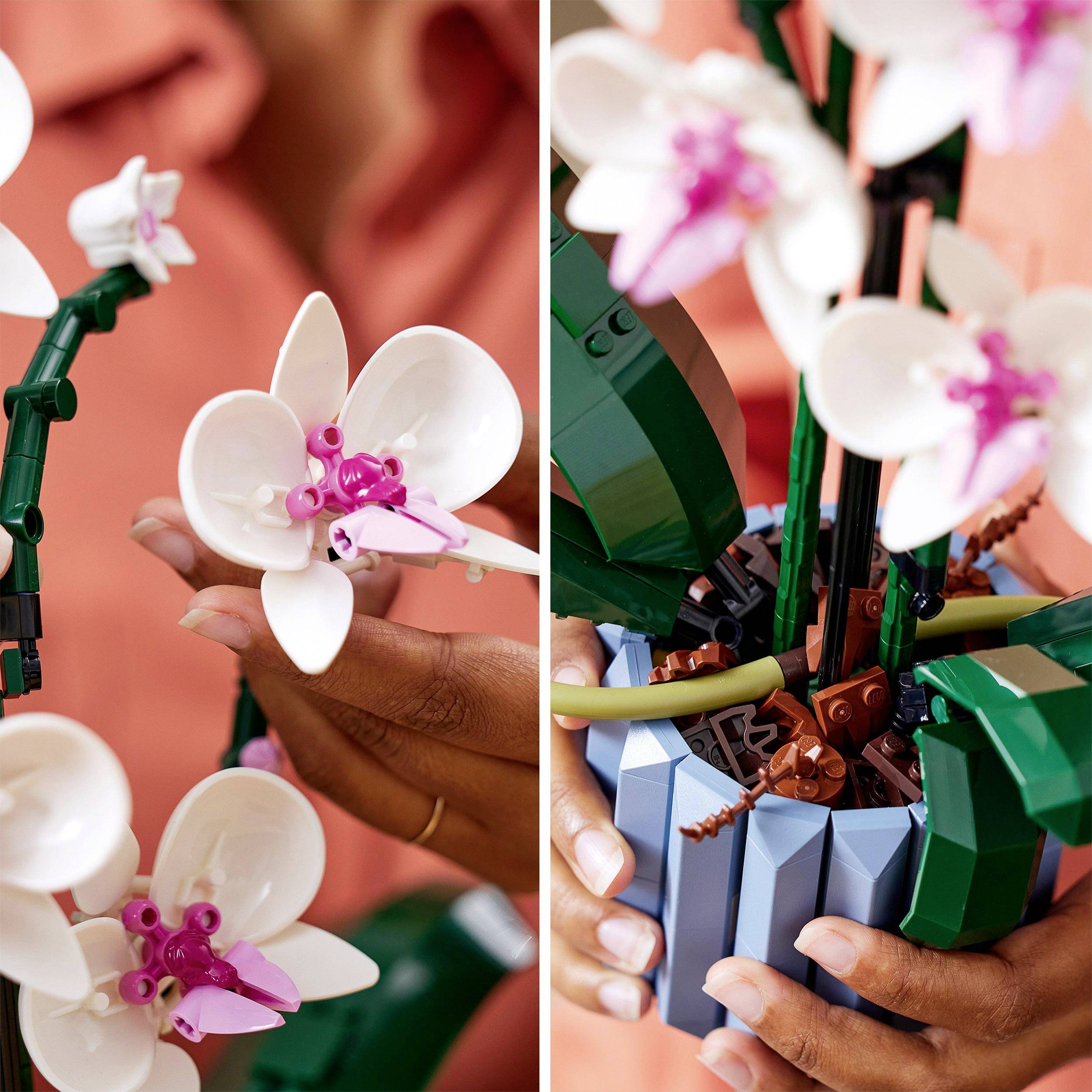 En person holder en LEGO-orkidemodel med hvide og lyserøde blomster. Modellen er placeret på en træstang i en krukke.
