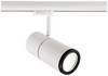 Deko Light Focus II 707068 LED-skinnespot 3-faset 35 W LED (RGB) EEK: G (A - G) Hvid