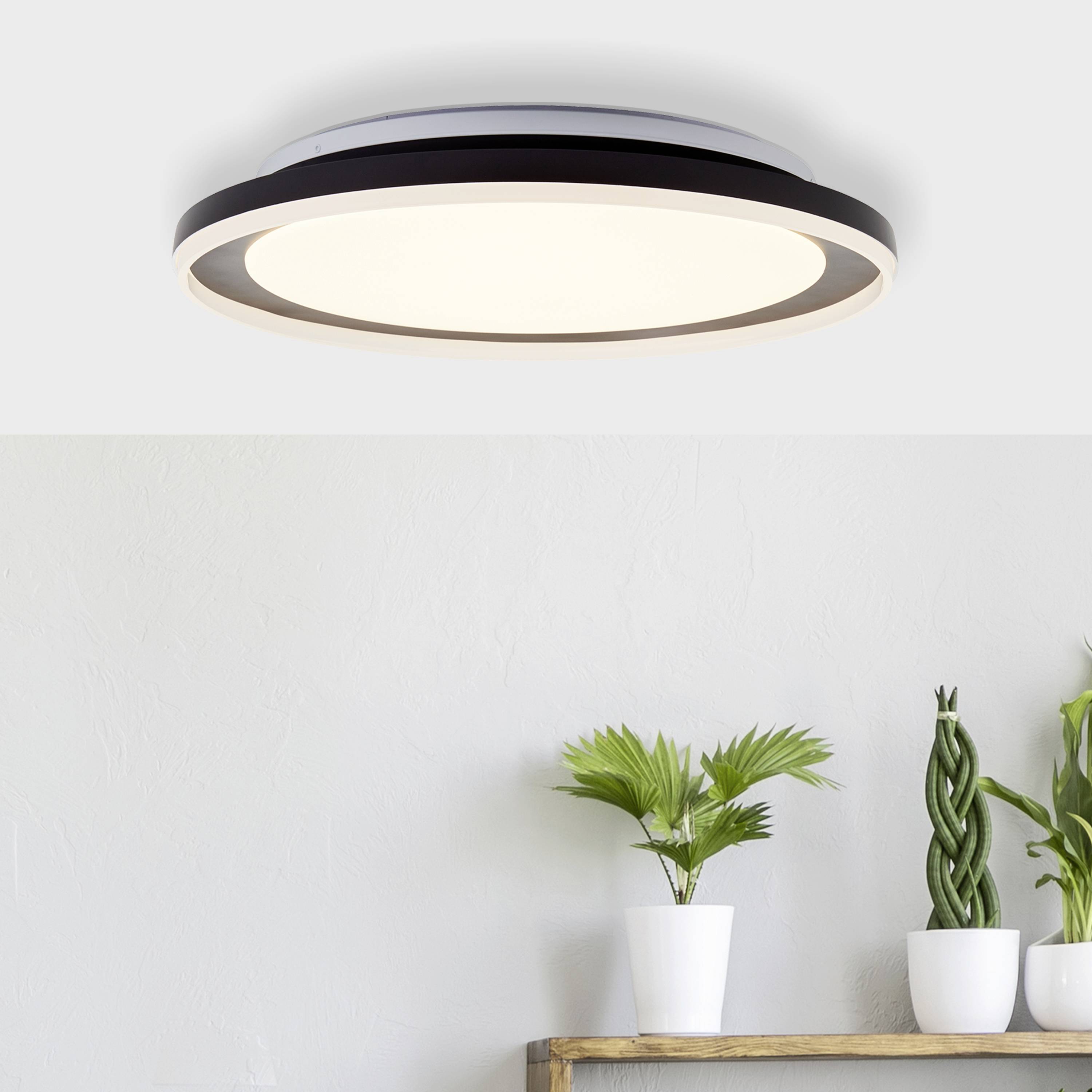 Rund loftslampe med varmt lys, på hvid baggrund. Nedenunder to små planter på et træbord.