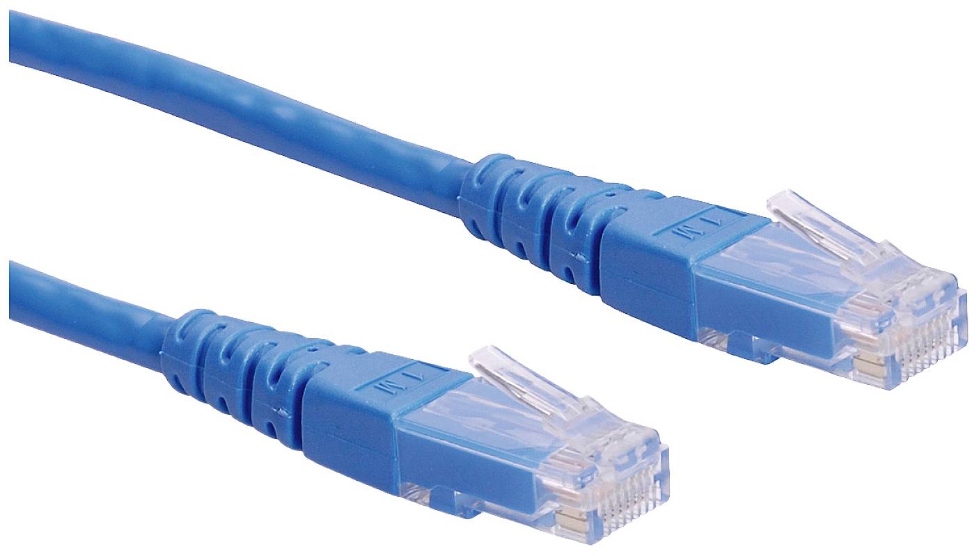 To blaå Ethernet-kabler med RJ45-stik, som bruges til netværksforbindelser.