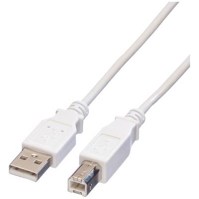 Et hvidt USB-kabel med en USB-A-stik på den ene side og en USB-B-stik på den anden side, foran en hvid baggrund.