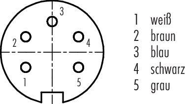 Diagram over en 5-polet stik med numre 1-5: 1 er hvid, 2 er brun, 3 er blå, 4 er sort, 5 er grå.