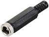 TRU COMPONENTS Svagstrømsforbindelse Tilslutning, lige 5.5 mm 2.1 mm 1 stk