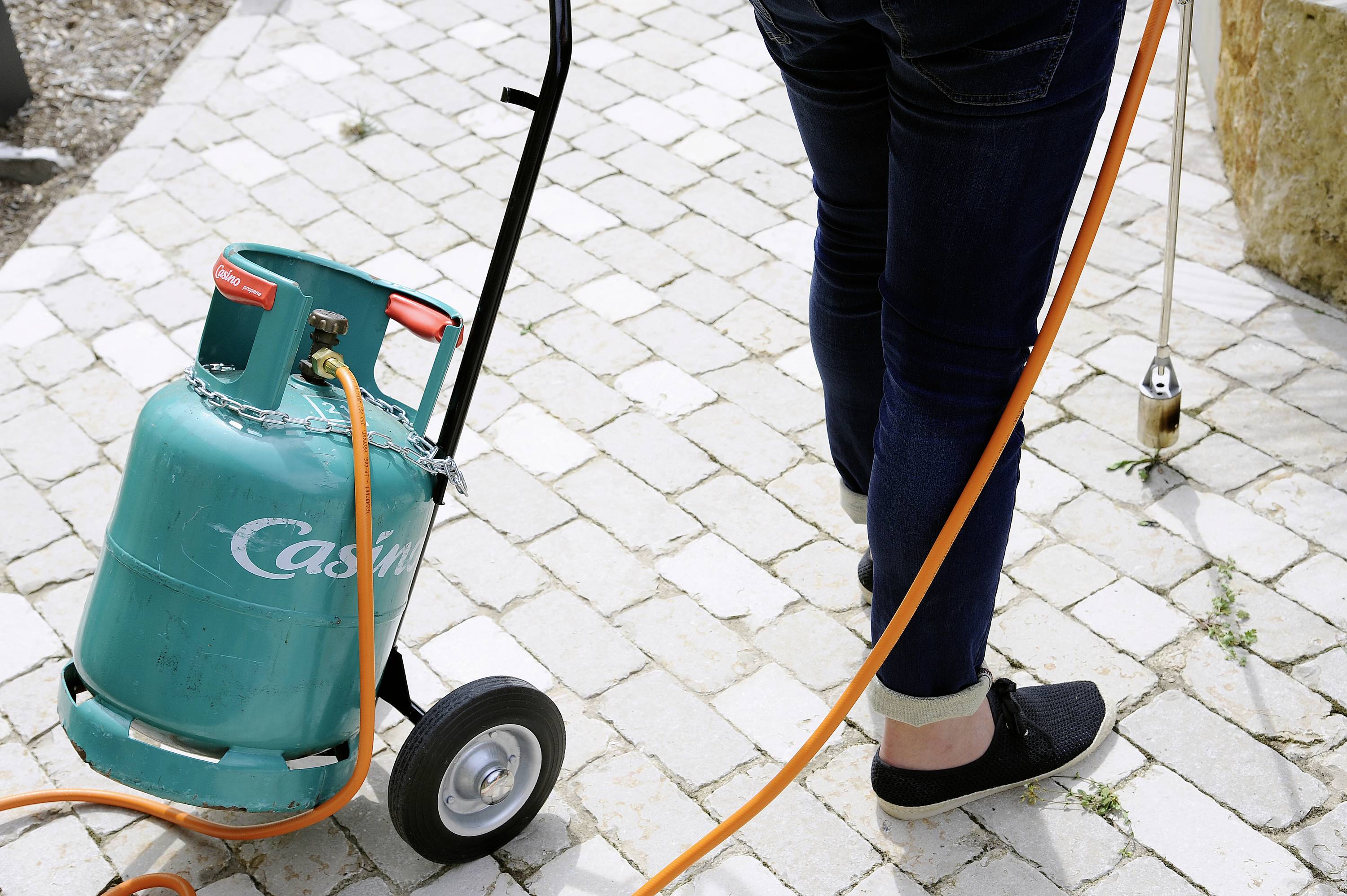En person fjerner ukrudt på en brolagt sti ved hjælp af en ukruddsbrænder og en gasflaske placeret på en rullevogn.