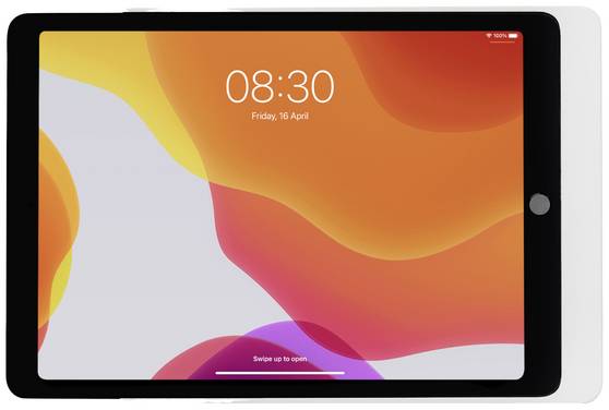 Displine Dame Wall Home Tablet vægholder Apple iPad 10.2 (7./8./9. Gen.) 25,9 cm (10,2")