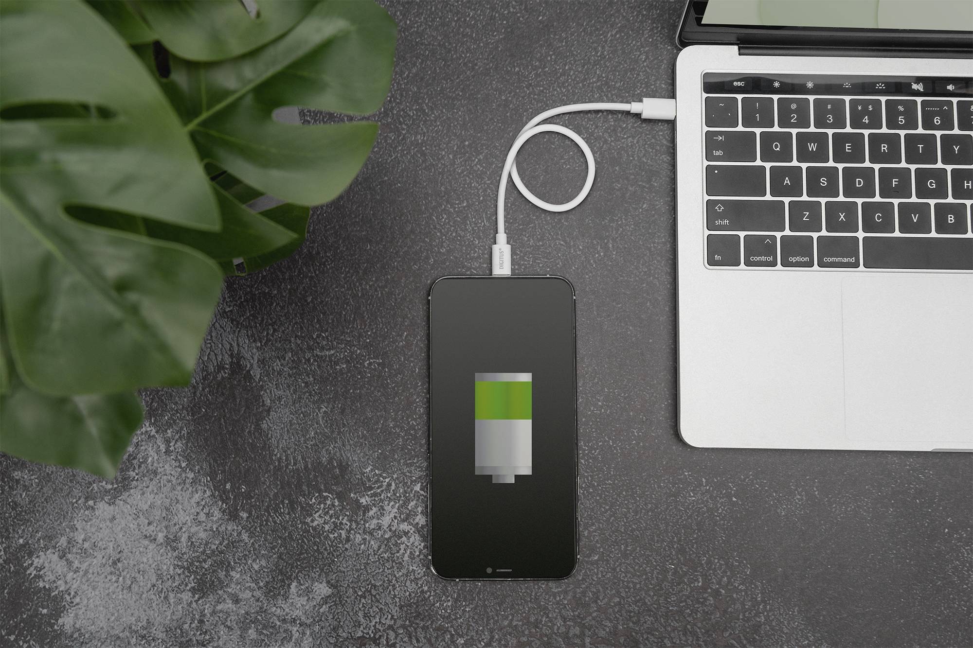 En smartphone, der er tilsluttet en bærbar computer via et kabel, viser en opladningsproces med et grønt batterisymbol på skærmen.