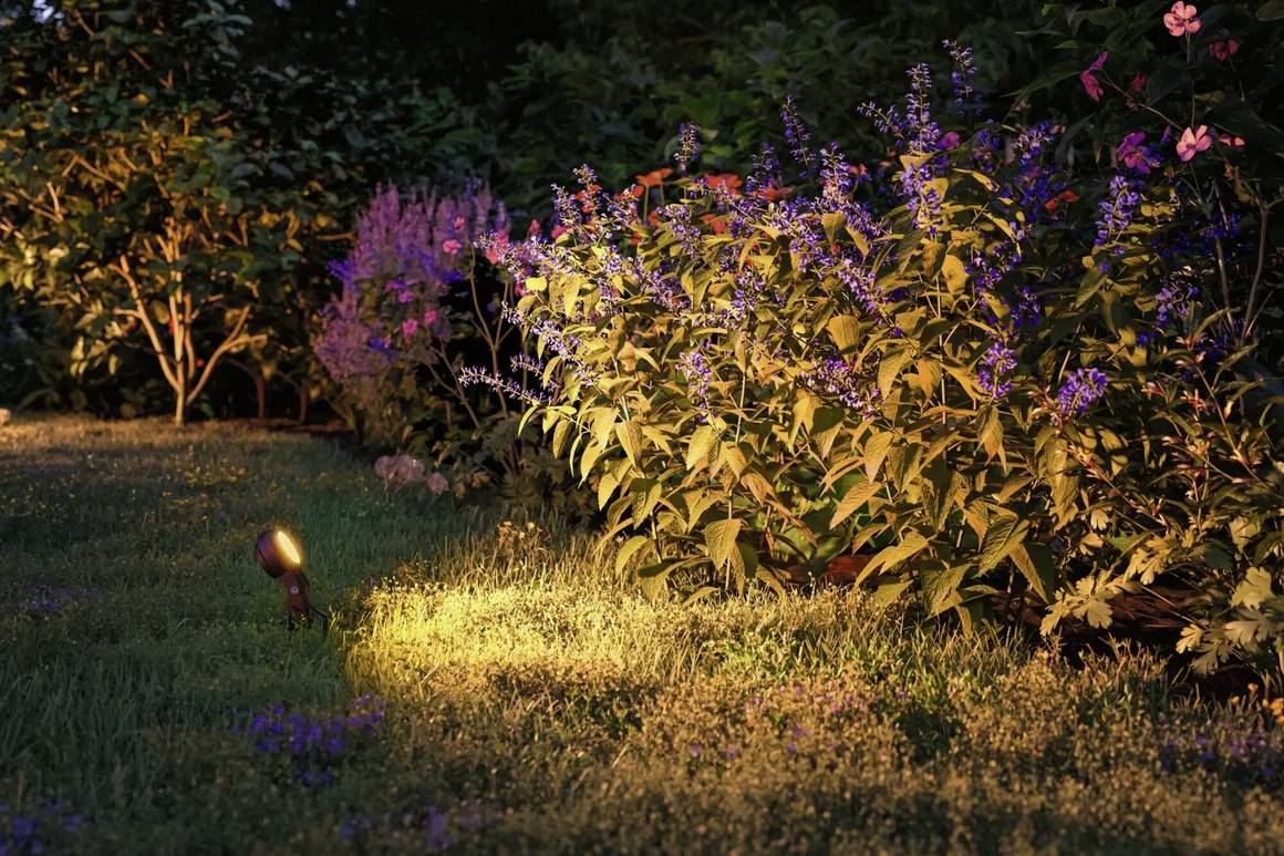 Et blomstrende bed med farverige blomster belyses om natten af varmt, gult lys. I baggrunden kan buske og træer anes.