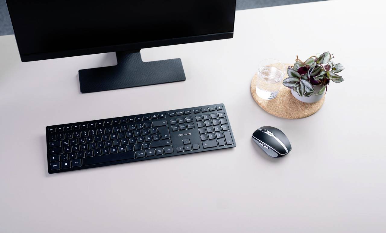 En skærm, et tastatur, en mus og en plante på et skrivebord. Arrangementer fremstår minimalistisk og ryddeligt.