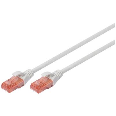 Et hvidt Ethernet-kabel med to orange RJ45-stik i enderne, bruges til netværksforbindelser.