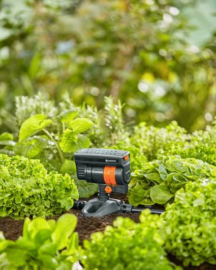 Et havevandingssystem er placeret mellem frodige, grønne planter, hvilket indikerer automatisk vanding i en køkkenhave.