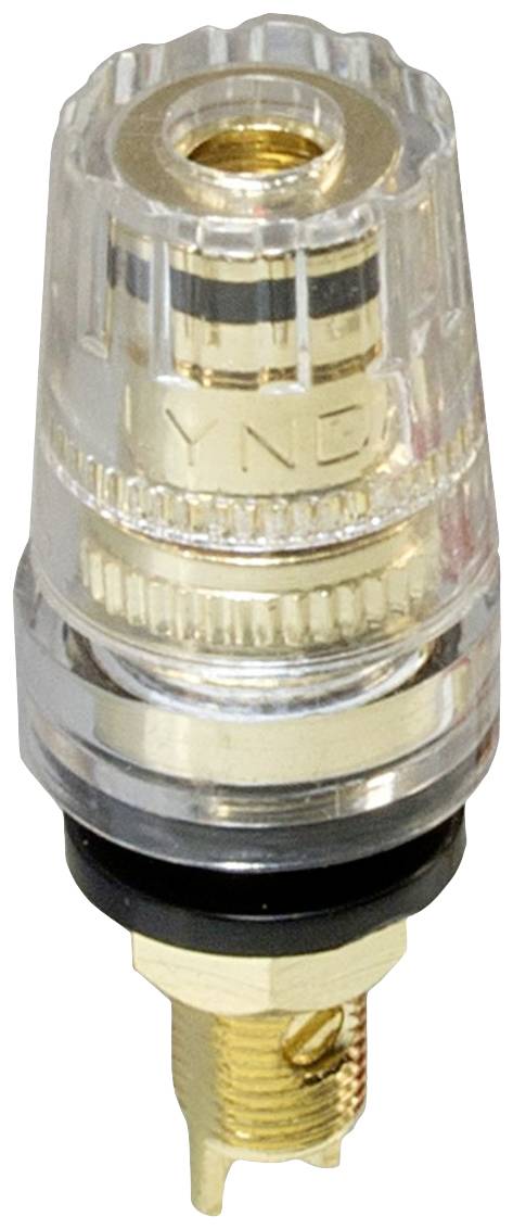 Transparent stikSystem med guldfarvet tilslutning, egnet til forbindelse af audioenheder. Overdel med skruelåg.