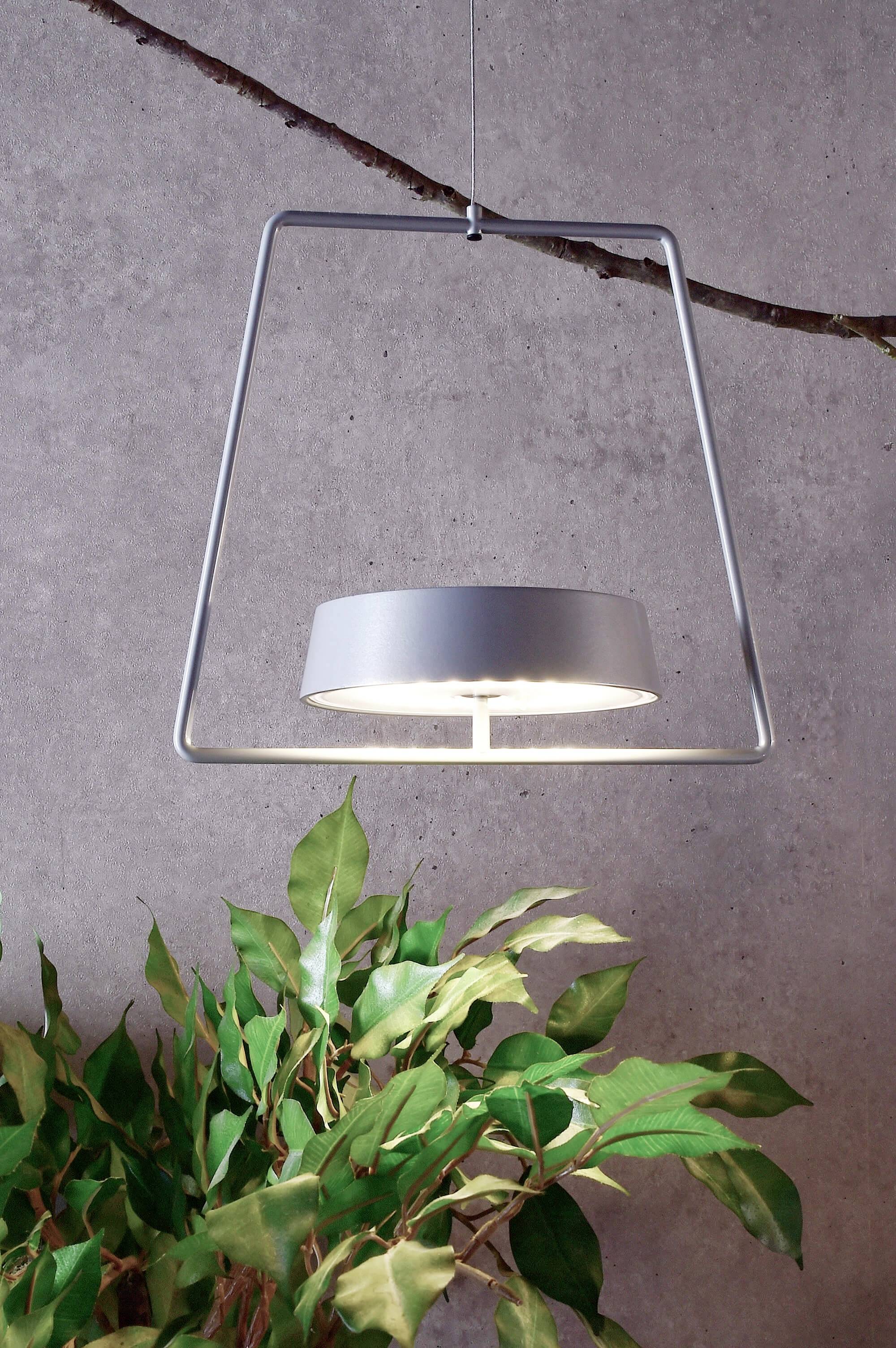 Metalophængt lampe i moderne design foran betonvæg. Nedenunder grøn blomsterpotte.