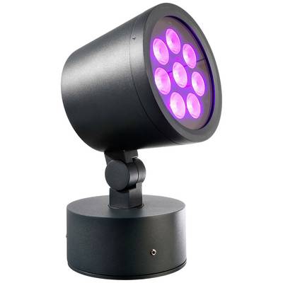 En sort LED-lampe med flere pink lysende dioder, monteret på en justerbar fod, placeret mod en hvid baggrund.