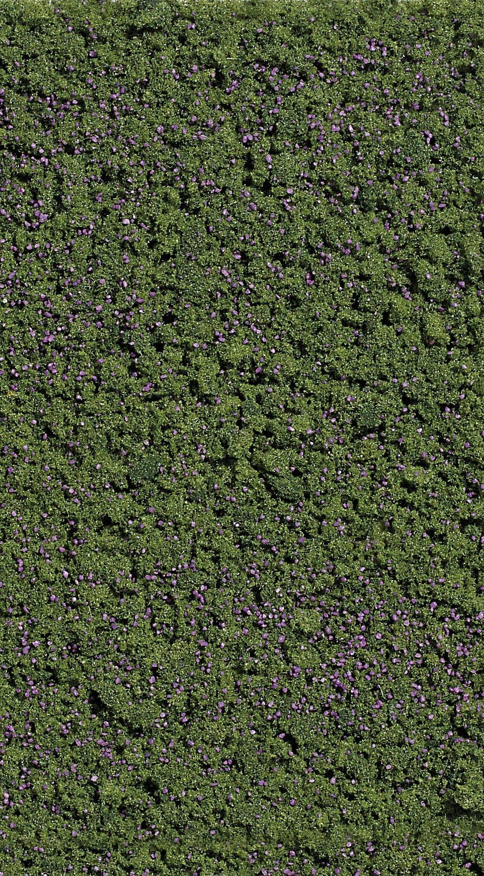 Grøn hæk med spredte lilla blomster, tæt vokset og velplejet.