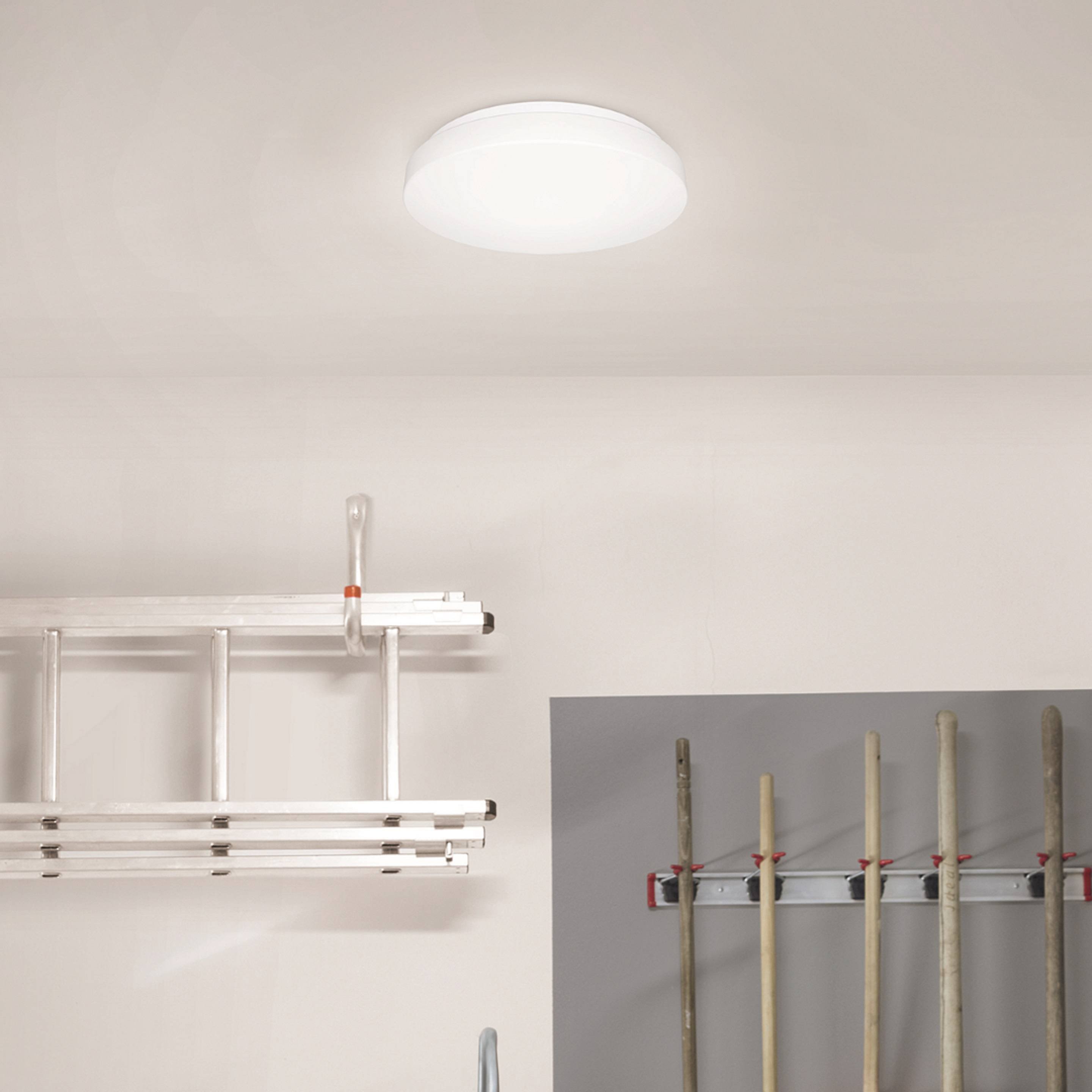 En rund, hvid loftslampe lyser op i et rum. Ved siden af lampen hænger en stige på væggen, og oven over er der klemt træbrædder fast.